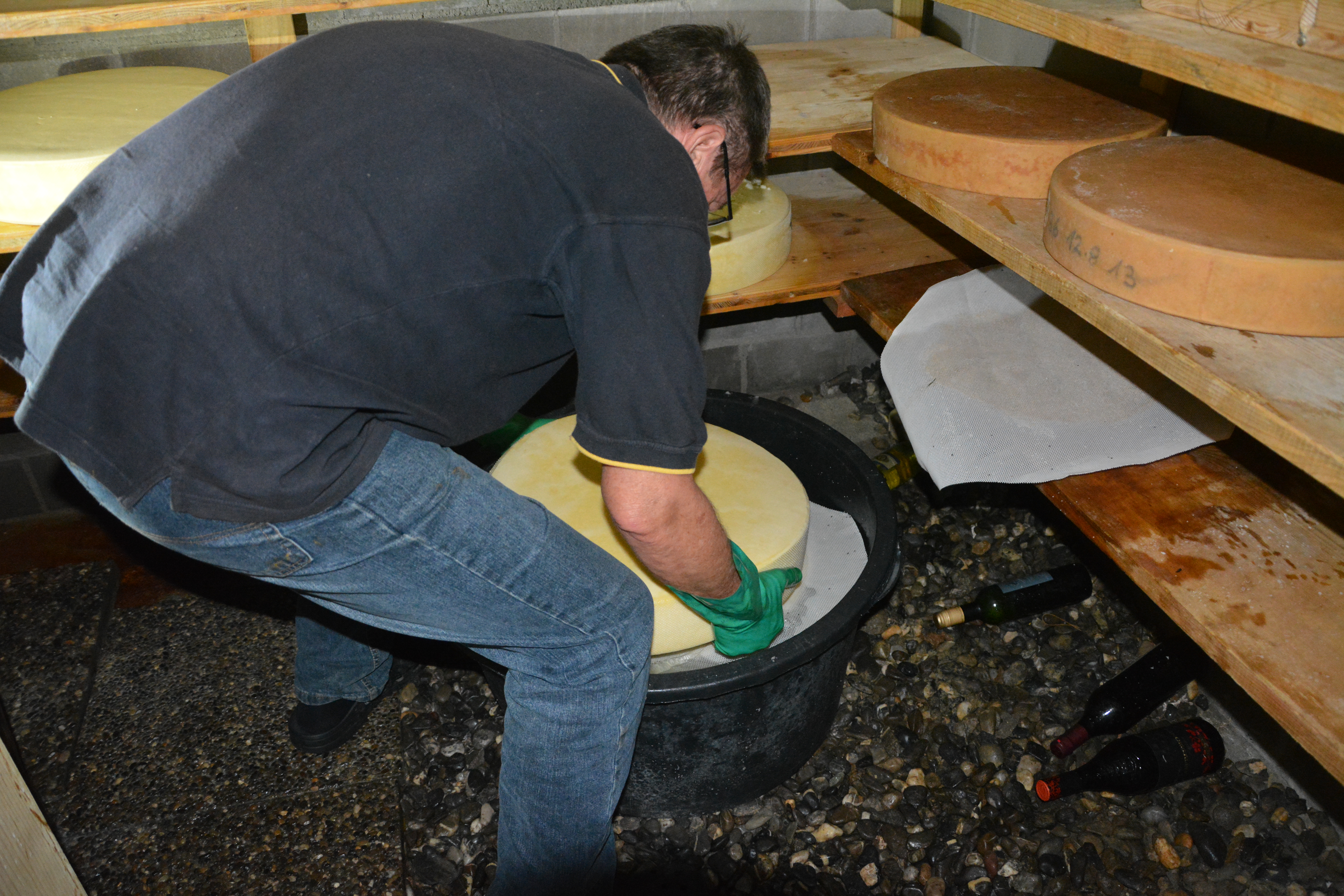 swiss cheese brining